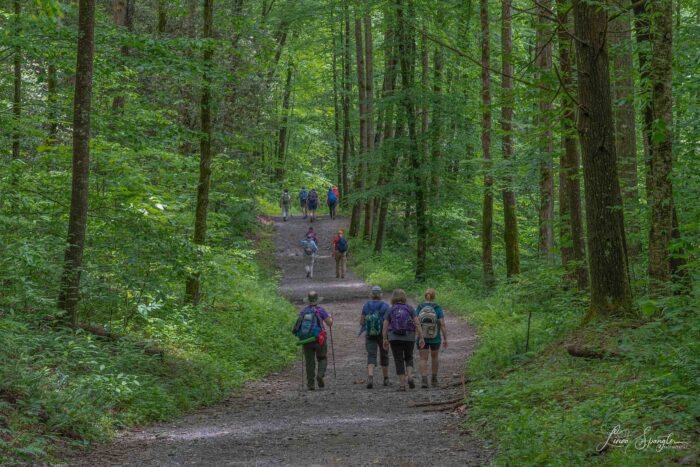 hikers on Smokemont Loop Trail