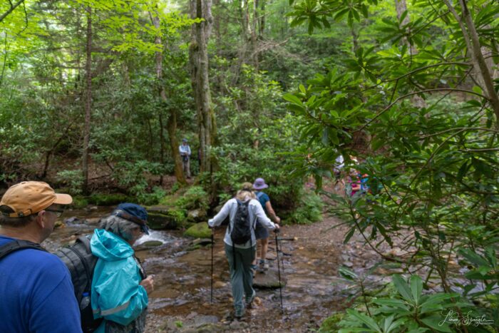 crossing creek