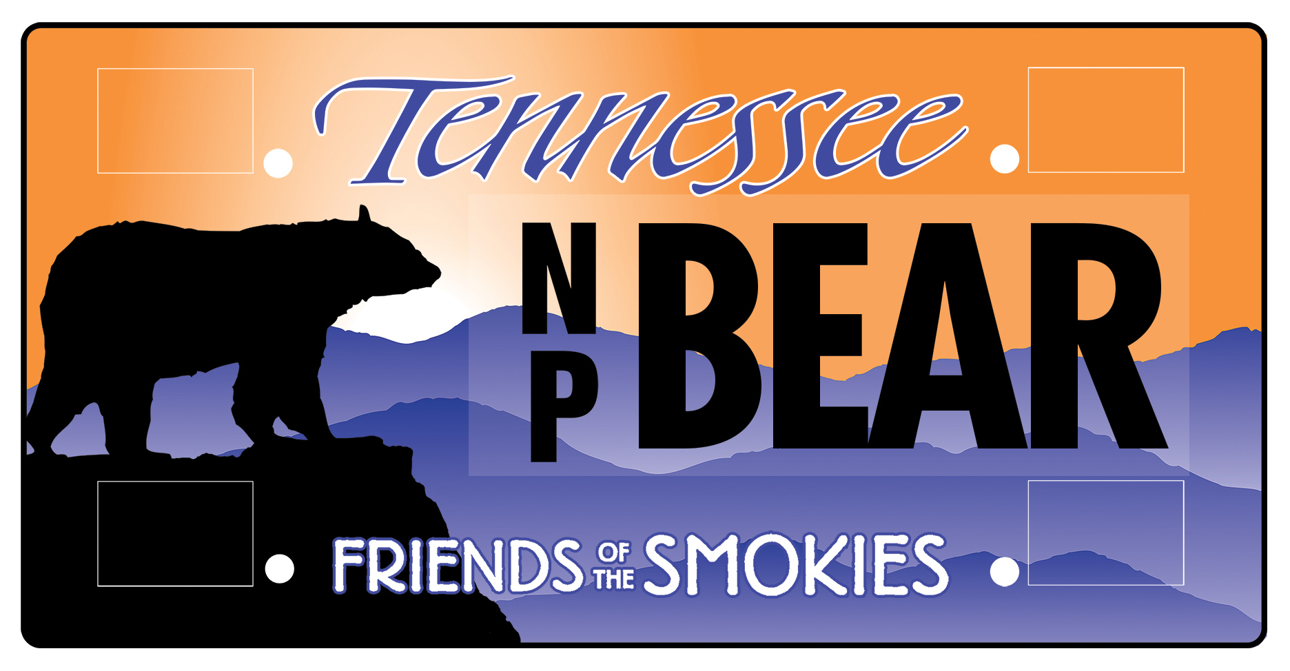 TN license plate