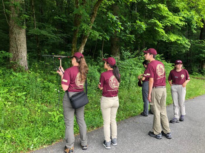 GSMNP interns practice radio telemetry