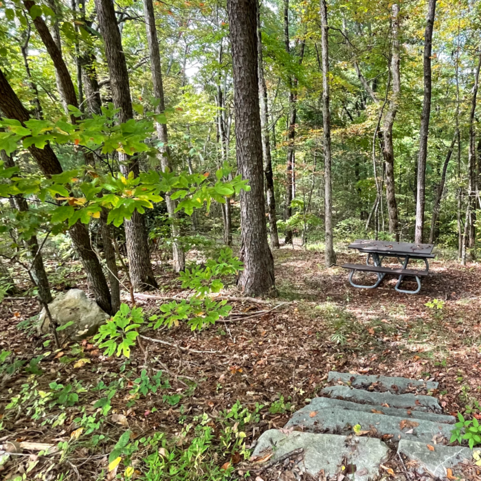 Look Rock Campground picnic table