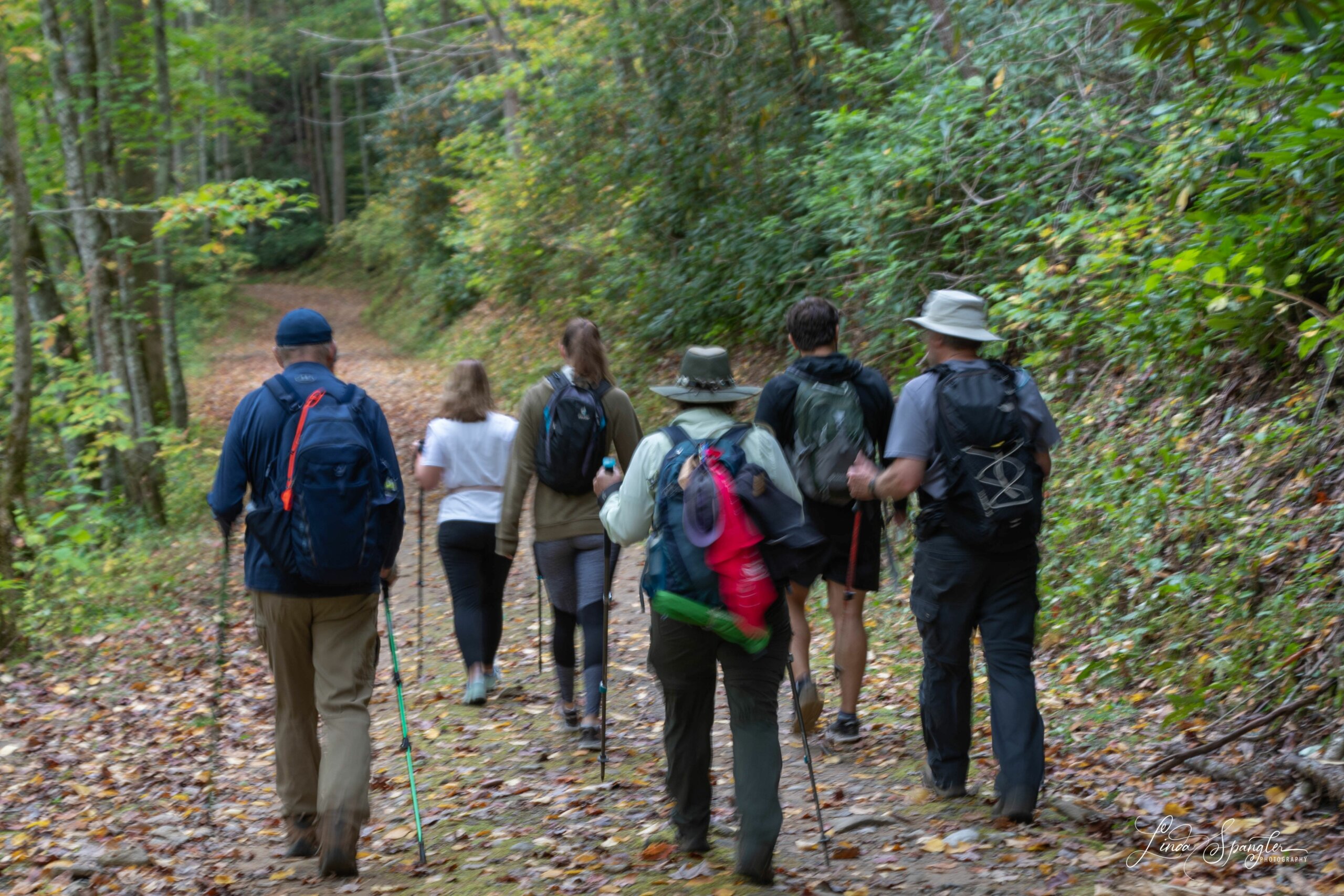 hikers on Noland Creek Trail