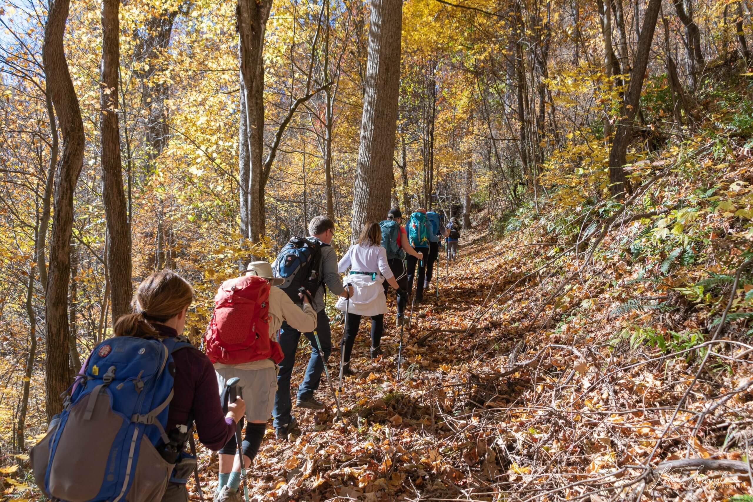 hikers on Caldwell Fork Trail