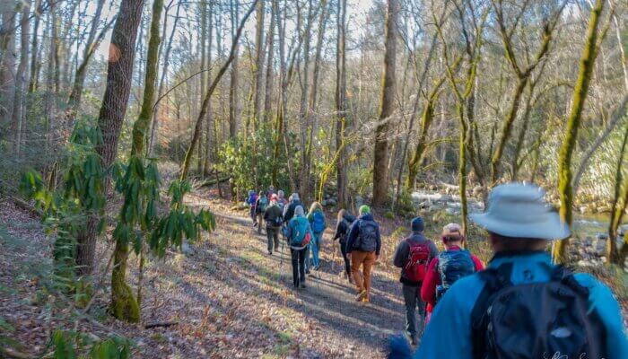 hikers on Old Sugarlands Trail