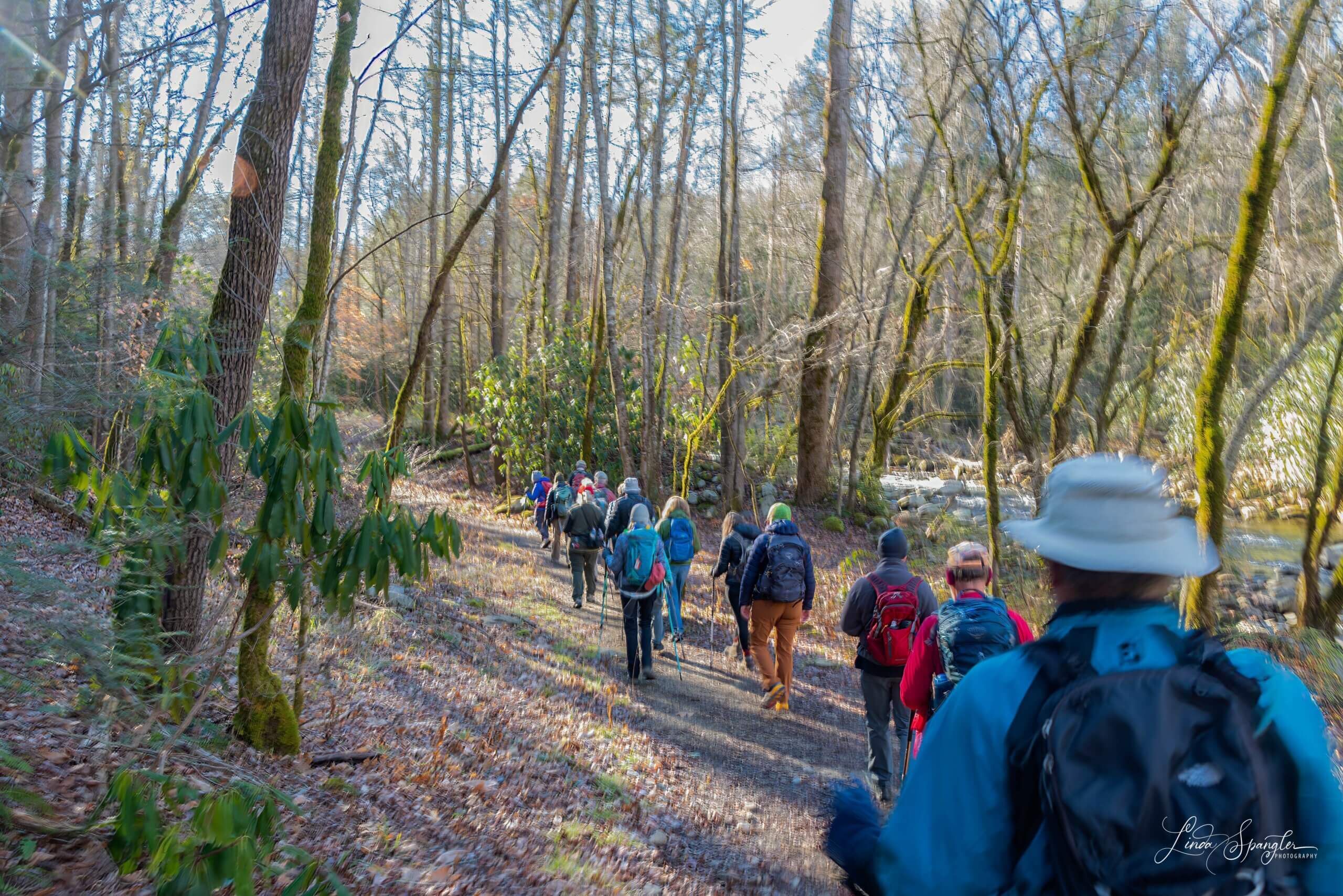 hikers on Old Sugarlands Trail
