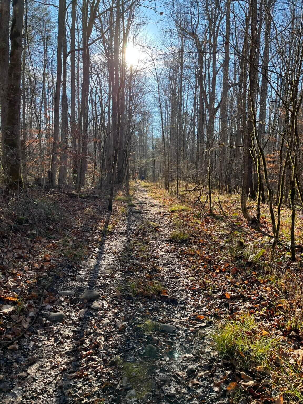 Old Sugarlands Trail includes CCC camp, Pigeon River view and 