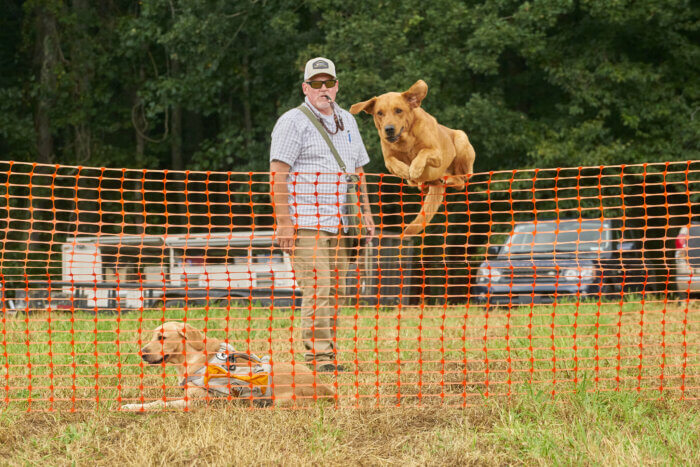 Wildrose Dog Show at Smokies Cup 2022