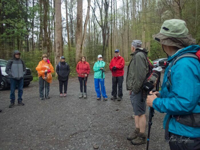 hikers start Porters Creek Trail hike