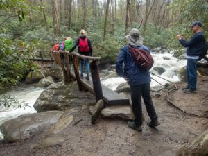 log bridge crossing Porters Creek