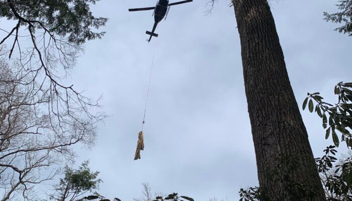 helicopter transporting locust logs