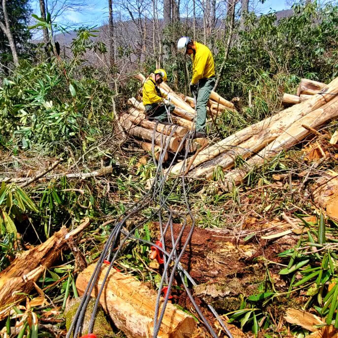 trail crew removes cables from locust logs