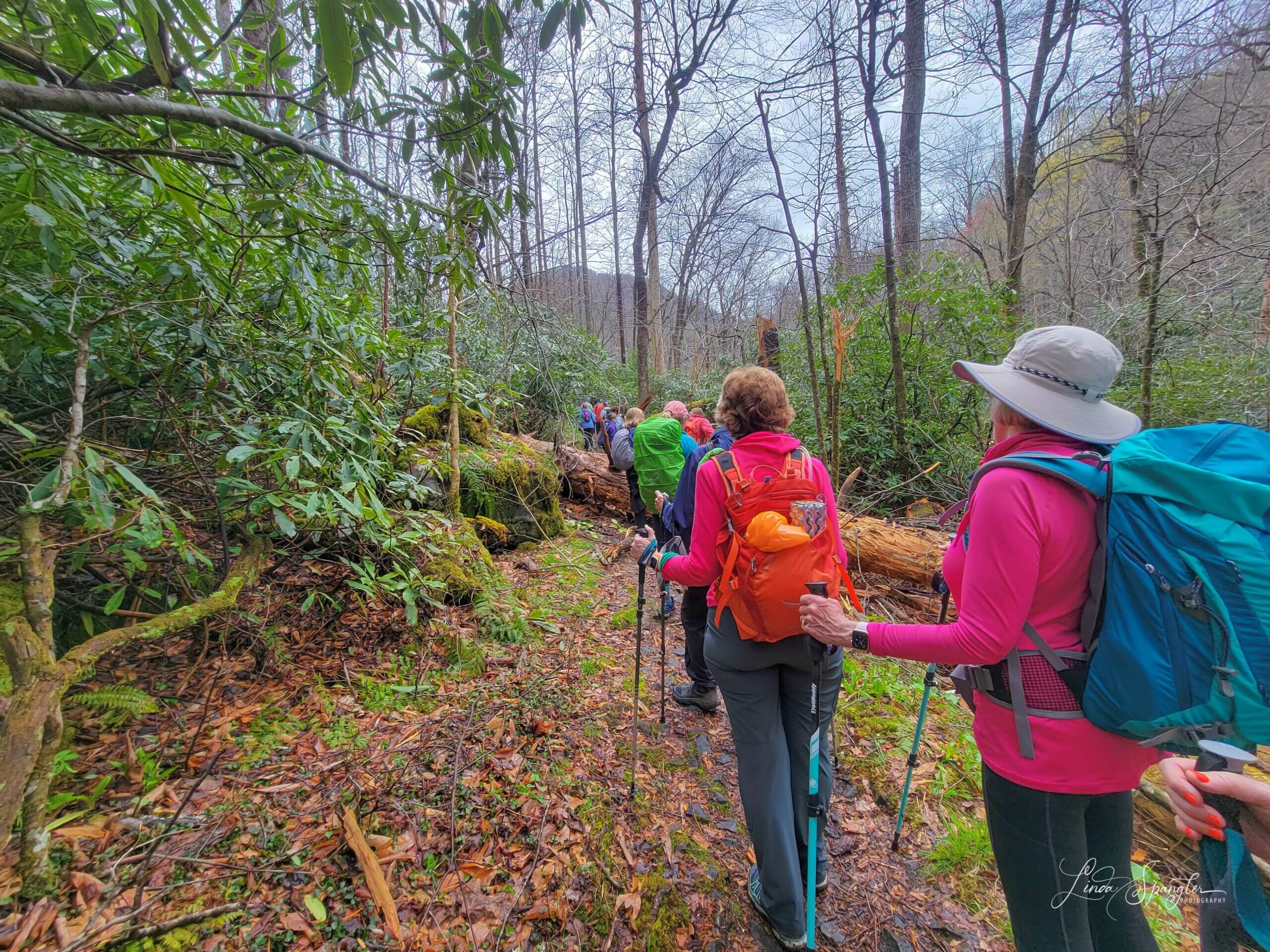 hikers on Porters Creek Trail