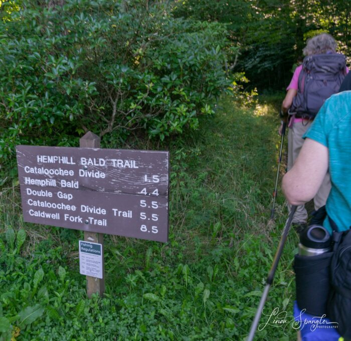 Hemphill Bald Trail sign