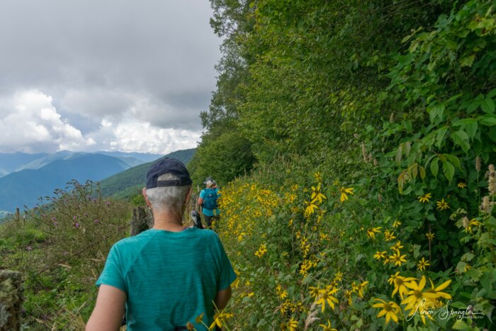 FOTS hikers on Hemphill Bald Trail
