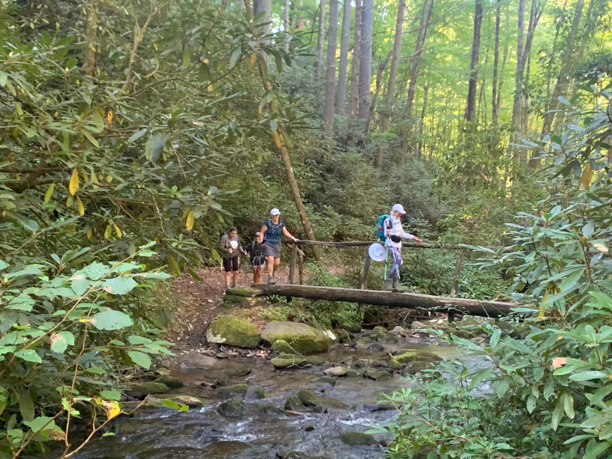 hikers cross log bridge in GSMNP