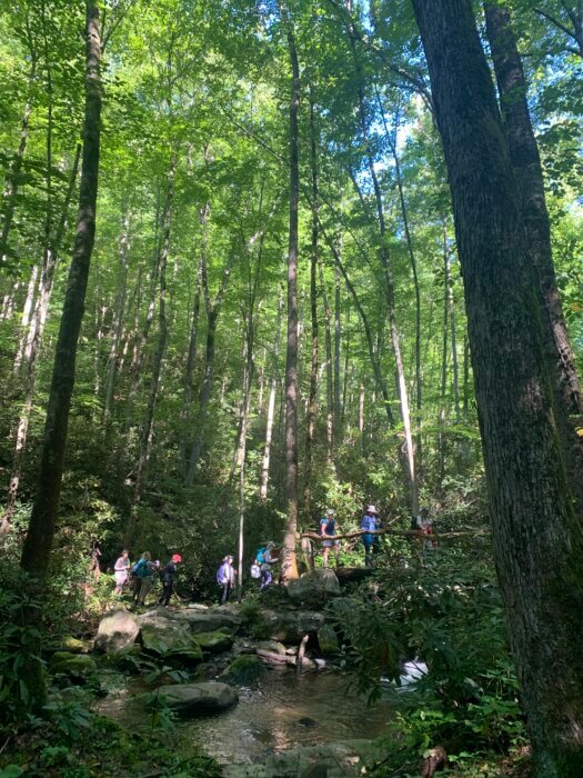 hikers cross log bridge in GSMNP