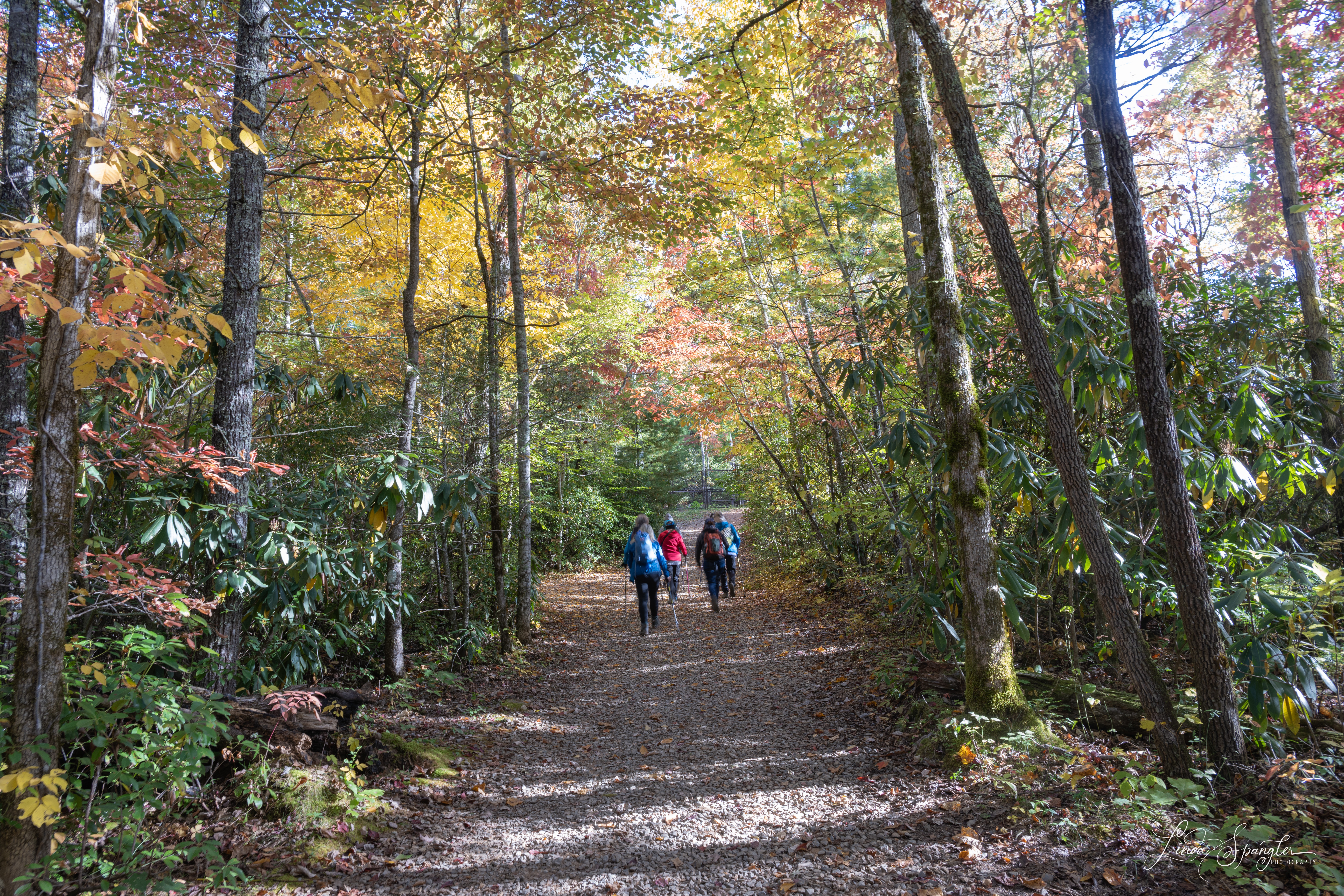 Hikers on Metcalf Bottoms Trail