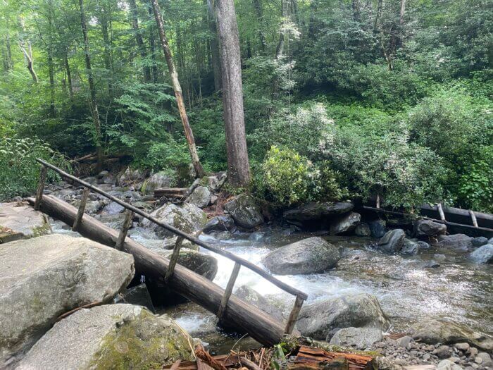 dislodged footbridge on Ramsey Cascades Trail