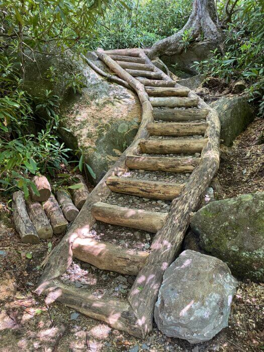 staircase built by FOTS Trails Forever crew on Ramsey Cascades Trail