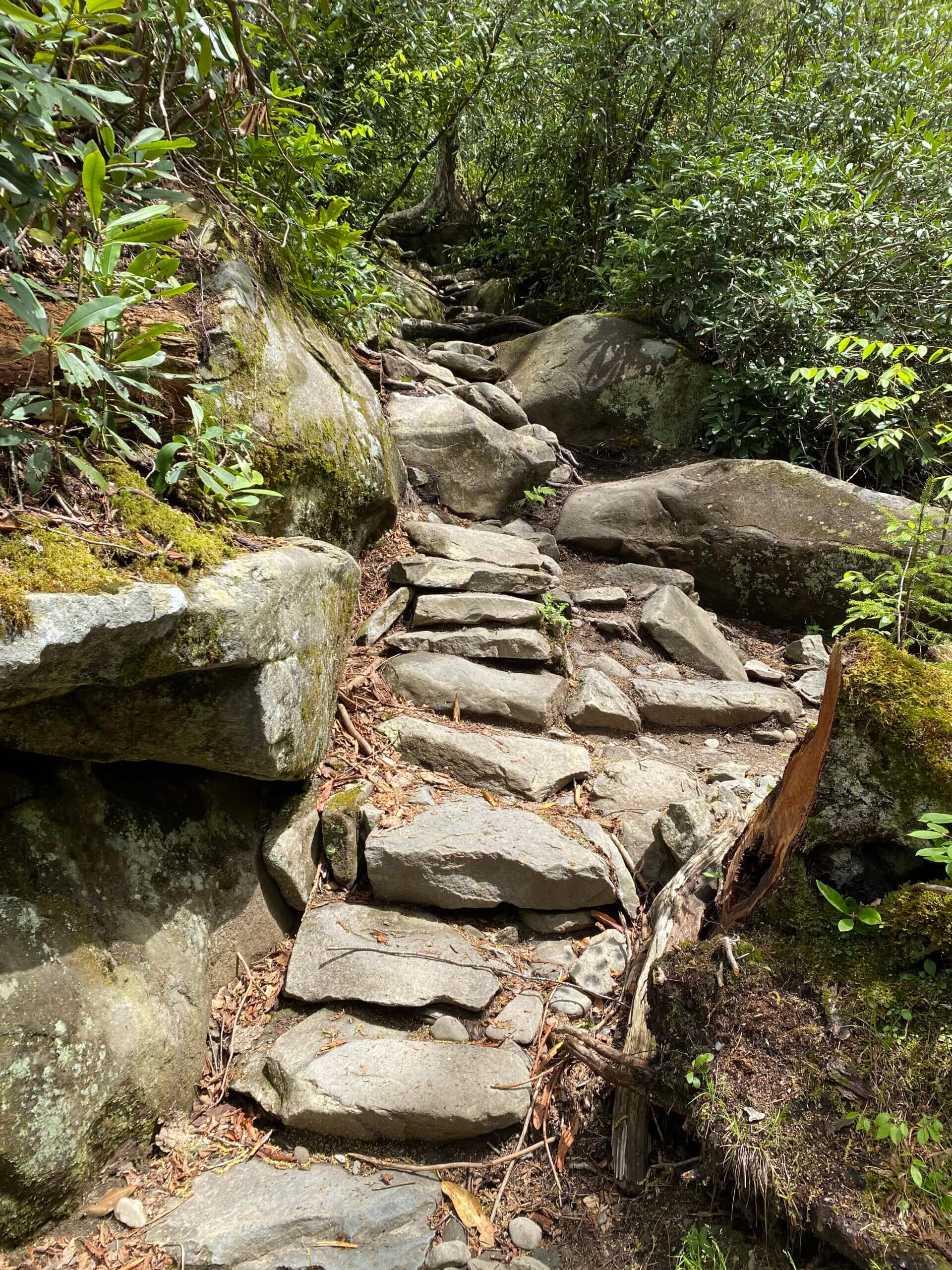 Ramsey Cascades Trail before restoration