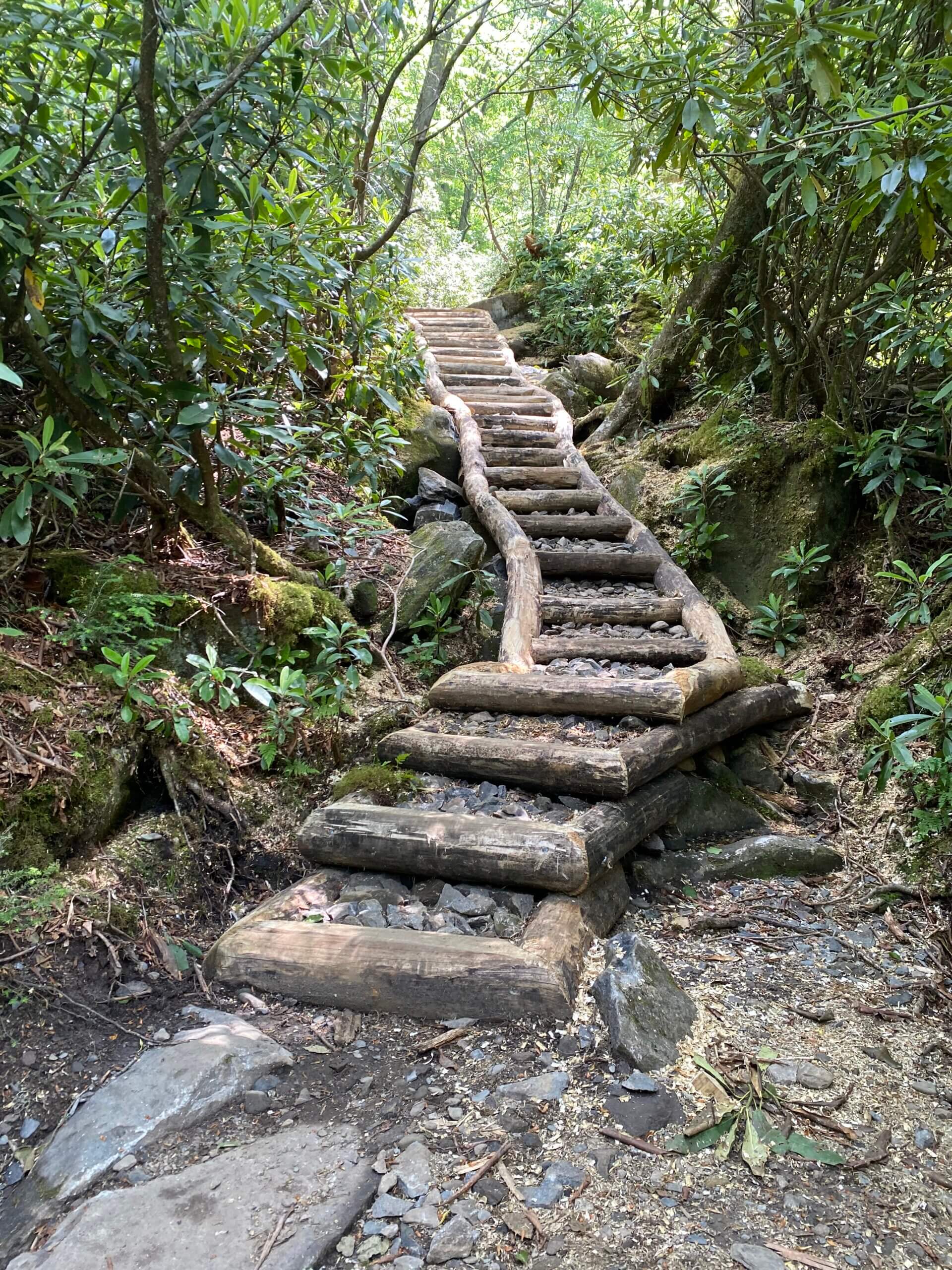 staircase built by FOTS Trails Forever crew on Ramsey Cascades Trail