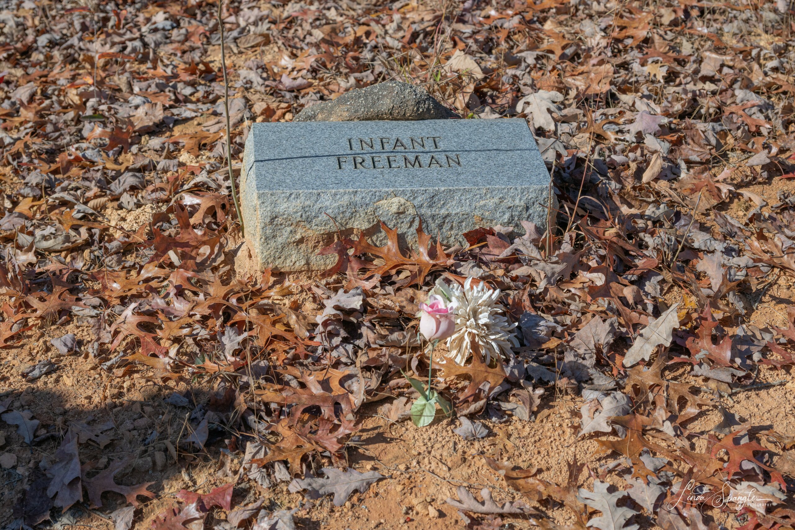 Infant Freeman headstone in Woody Cemetery