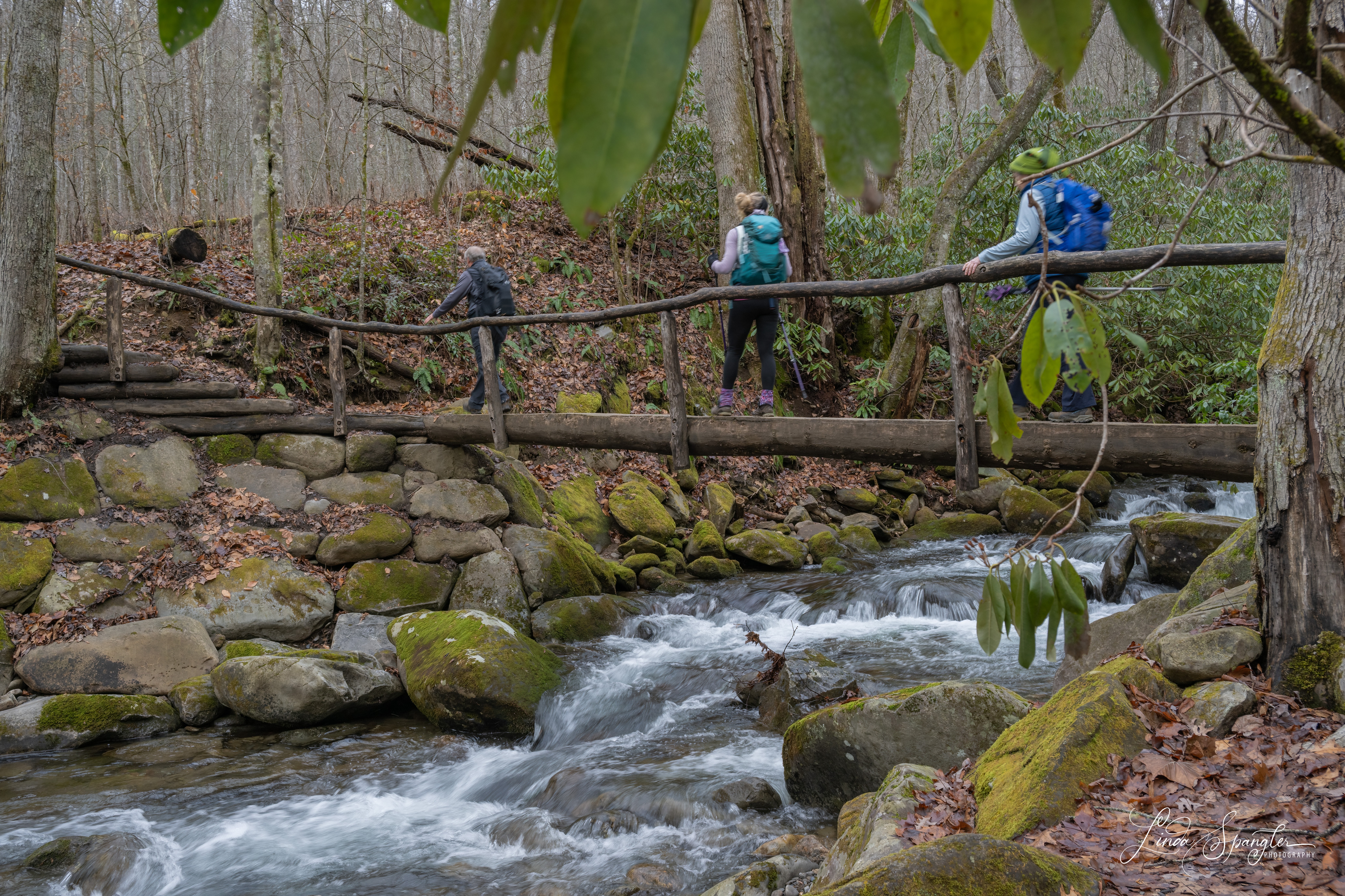 hikers crossing log bridge