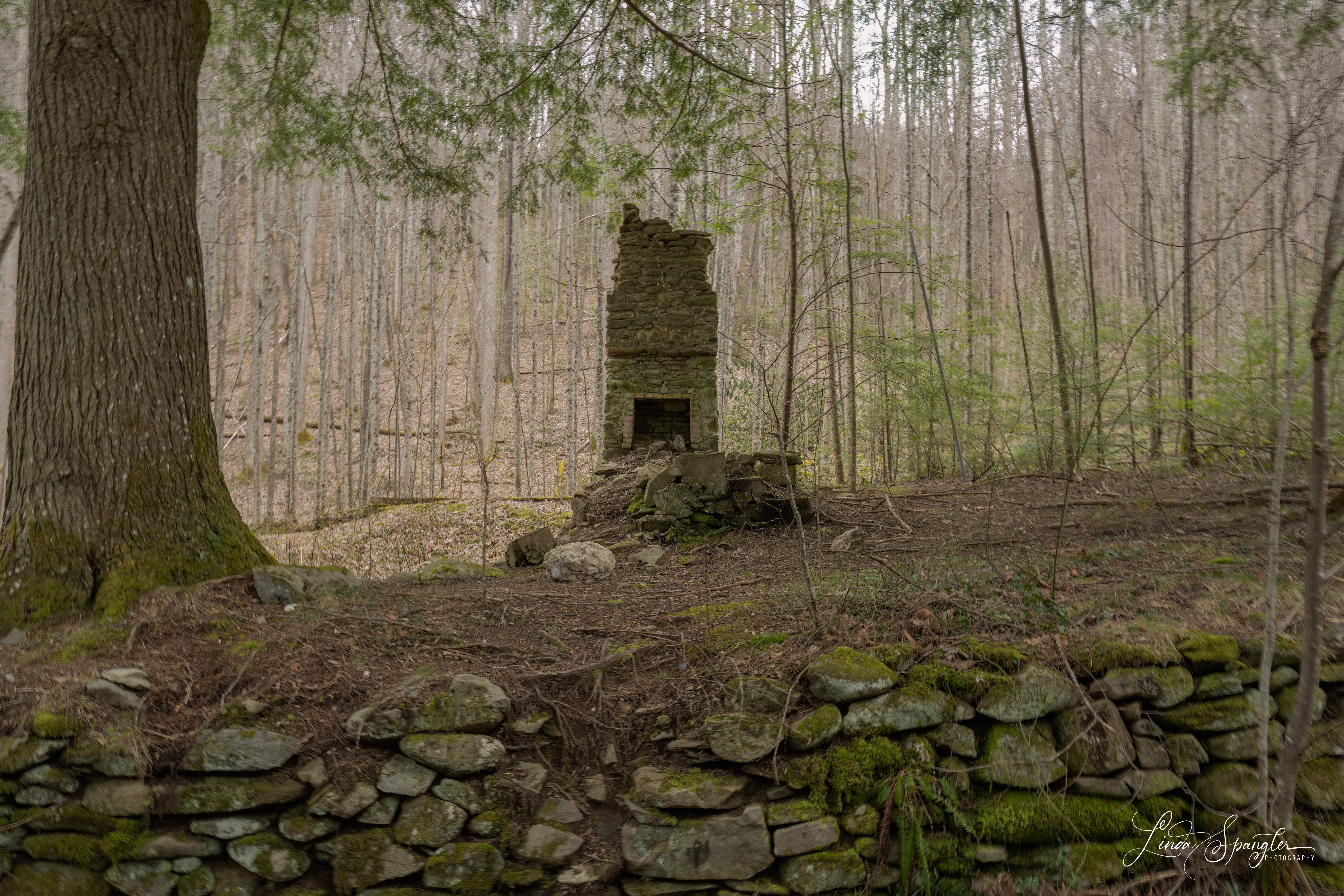 Chimney and stone wall in Elkmont