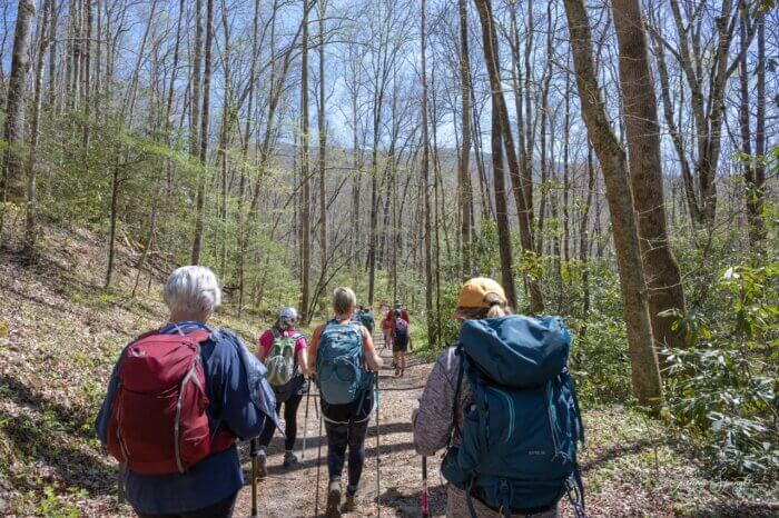 hikers on Smokemont Loop Trail