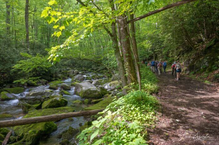 Hikers on Big Creek Trail