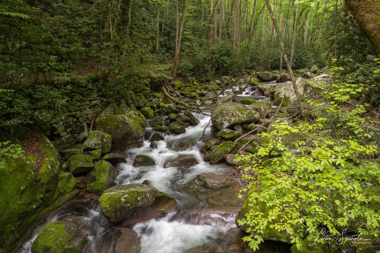 Big Creek Trail