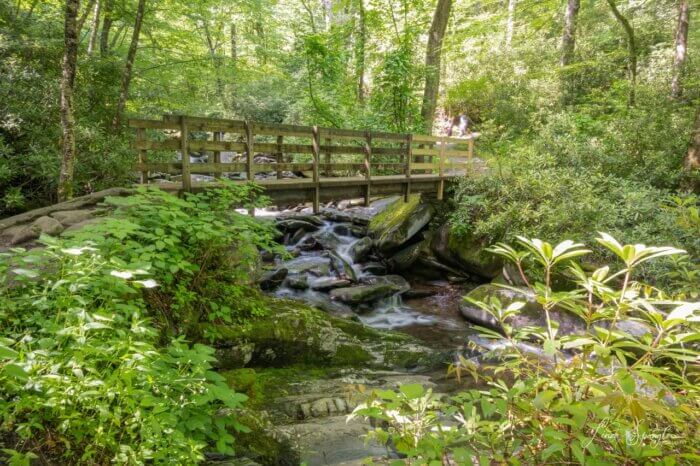 Bridge on Chimney Tops Trail