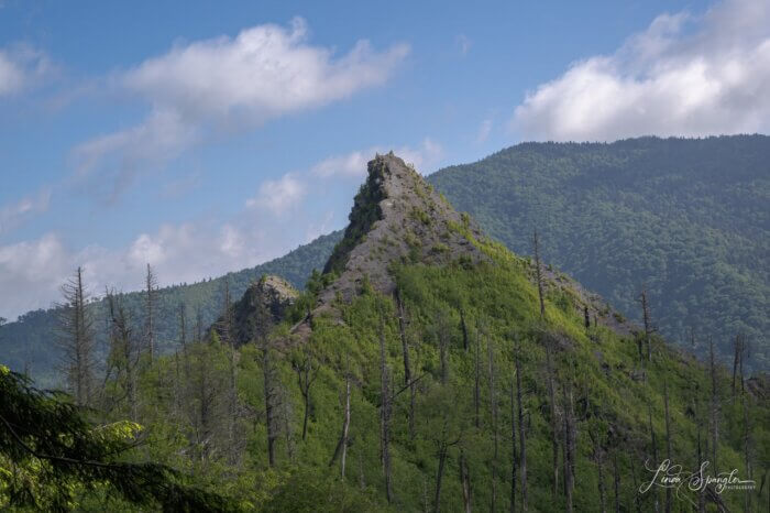 Burnt top of Chimney Tops