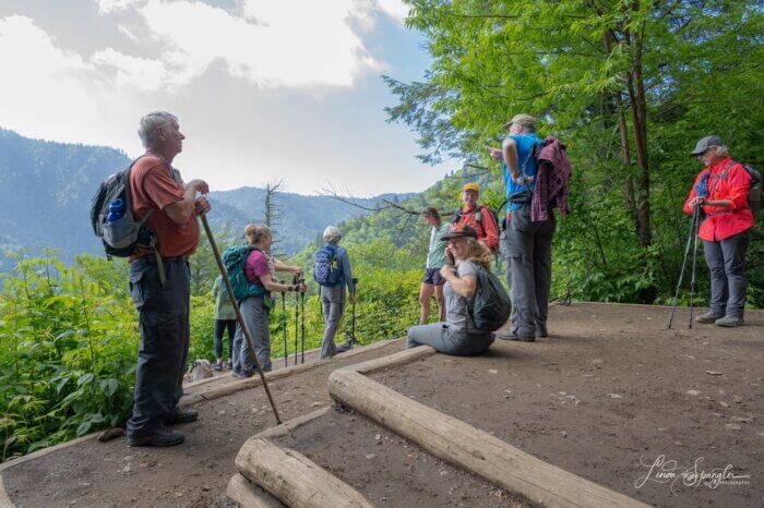 Hikers at overlook on Chimney Tops Trail