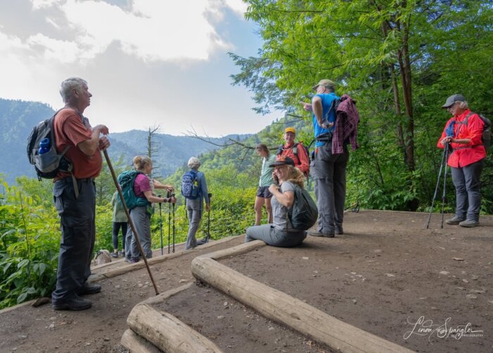 Hikers at overlook on Chimney Tops Trail