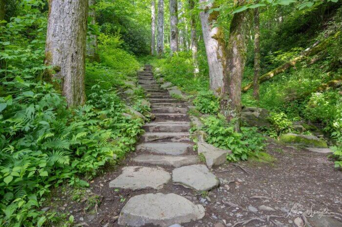 stone steps on Chimney Tops Trail
