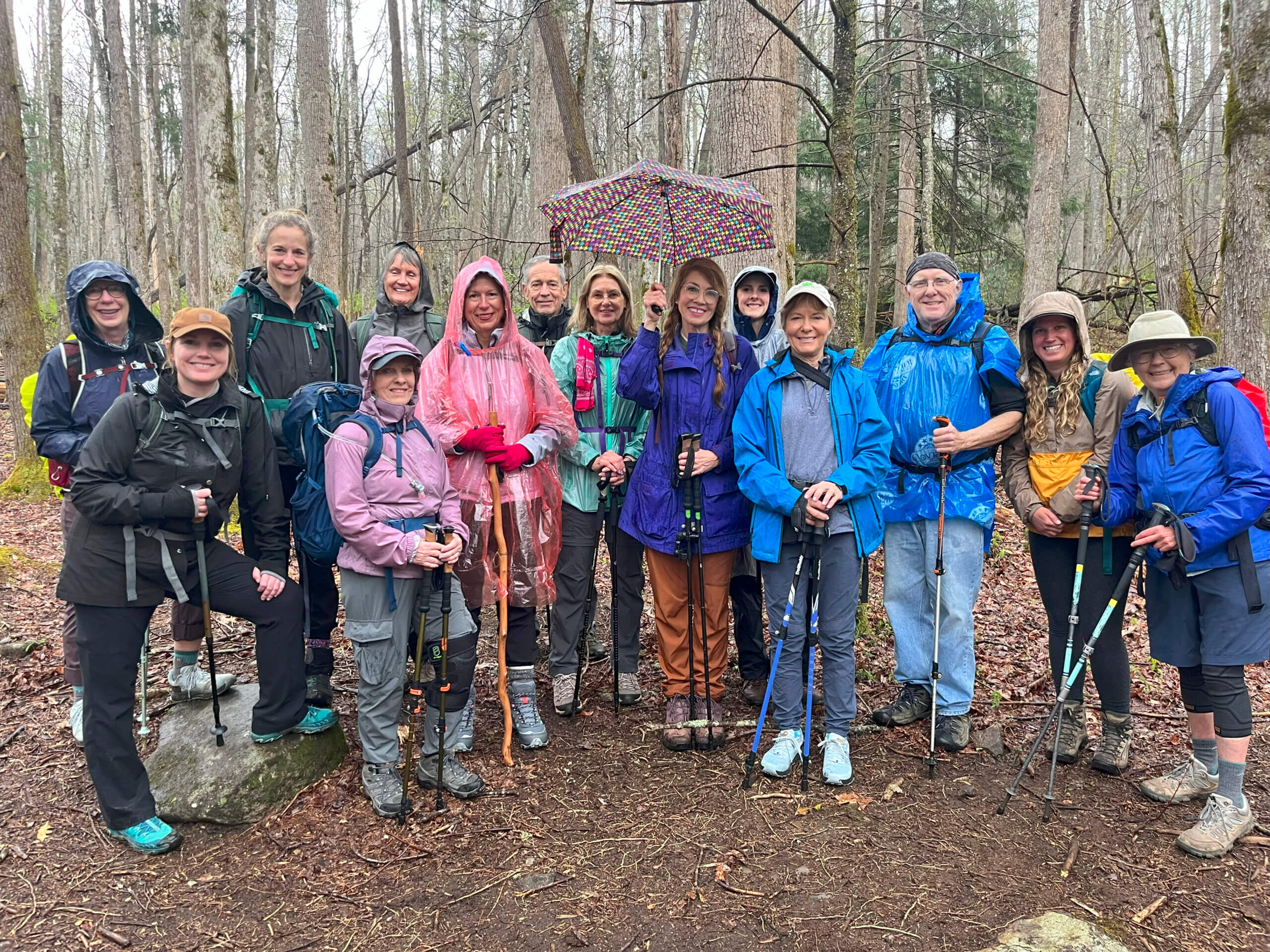 Fifteen hikers gather in the rain at Porters Creek Trail.