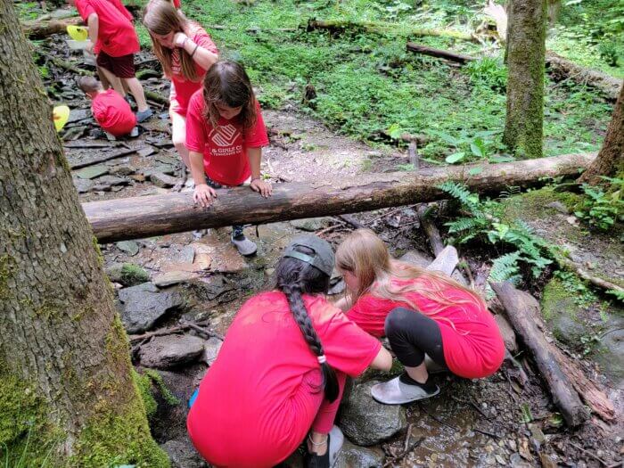 Boys and Girls Club kids explore creek in GSMNP