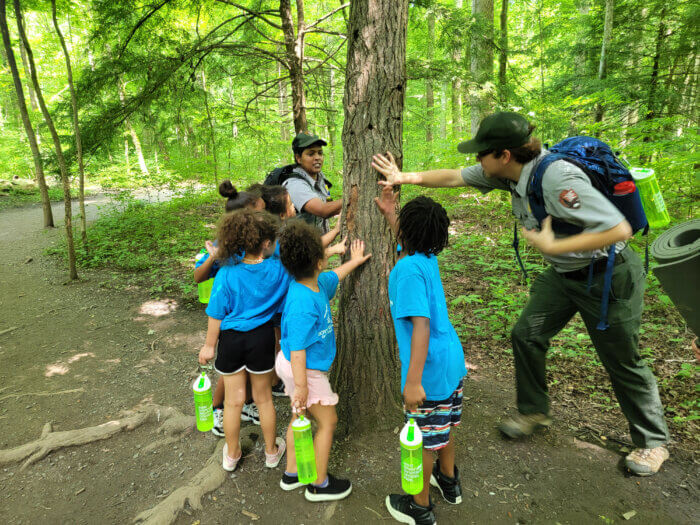 rangers and kids touch tree trunk