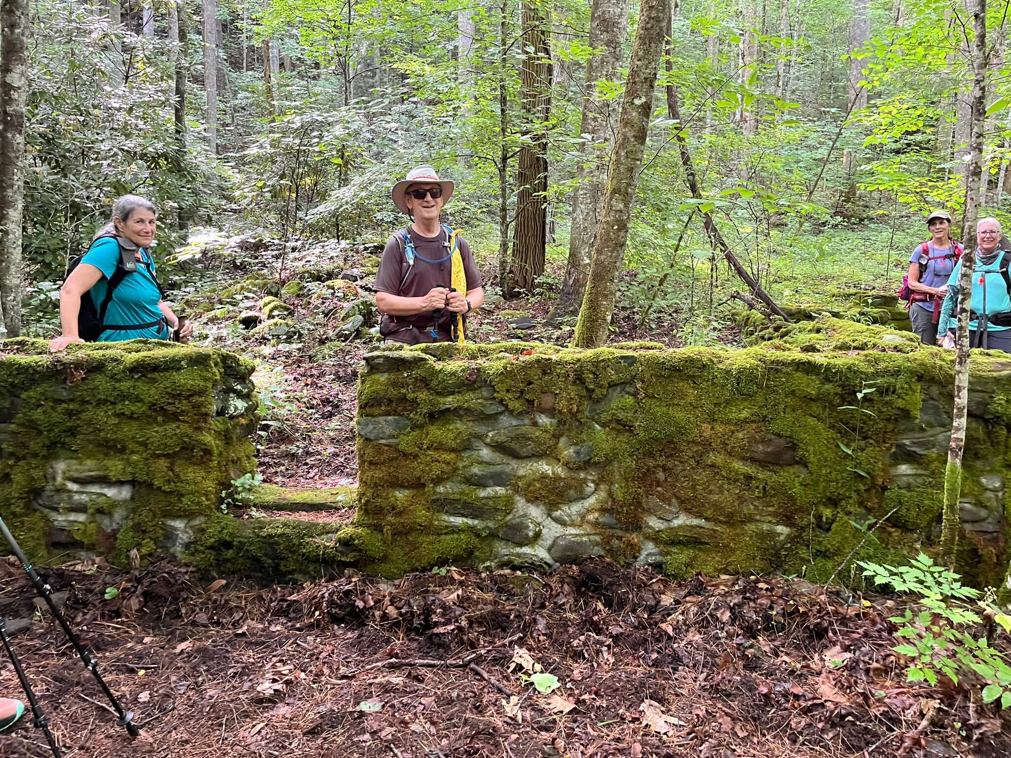 Trails Forever Hikes recap: Noland Creek Trail | Friends of the Smokies