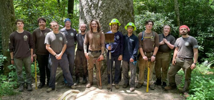 ACE and SECC crews working on Ramsey Cascades Trail 2024