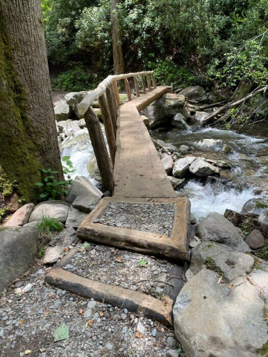 Log foot bridge on Ramsey Cascades Trail