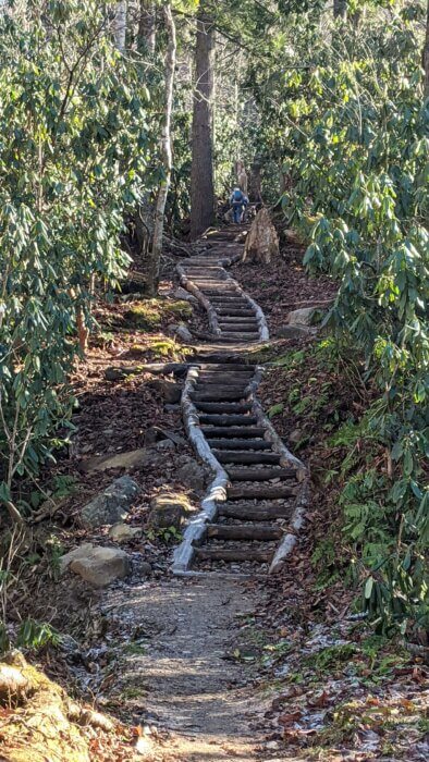 locust log staircase on Ramsey Cascades Trail