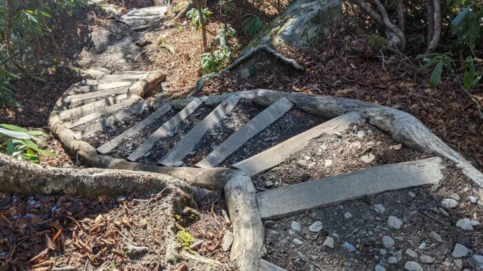 Locust log staircase on Ramsey Cascades Trail