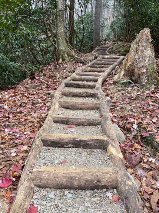 locust log and crushed stone staircase