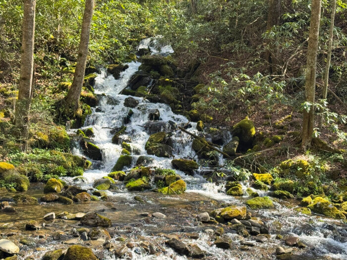 Waterfall along Bradley Fork Trail.