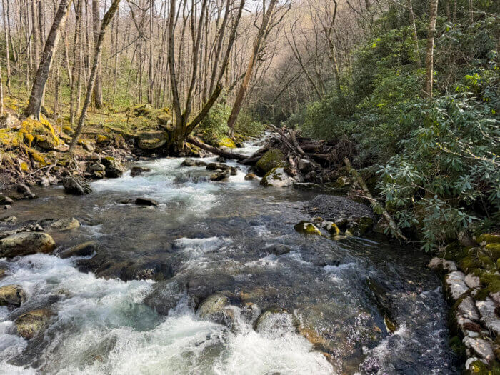 Rushing water at Bradley Fork.