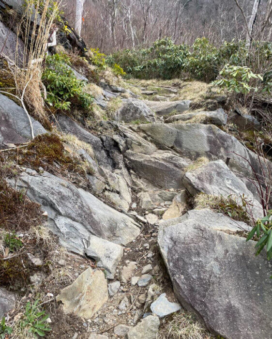 Rocky trail section